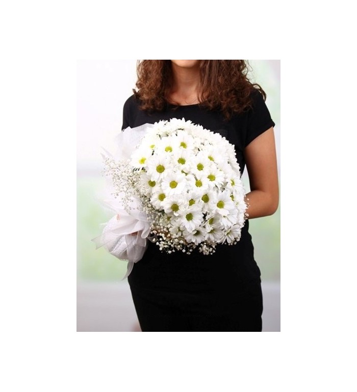 beyaz papatya 9785