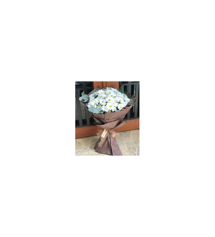 bitaneme-beyaz-papatyam5697