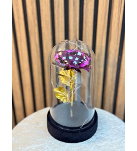 ışıklı fanus içinde gül